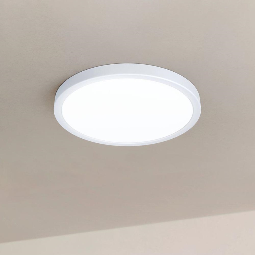 Eglo - LED dimmbare Deckenleuchte LED/20W/230V + Fernbedienung
