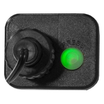 Eglo 472-53 - LED-Außen-Weihnachtslichterkette BERRY MINI, 700 LEDs, 8 Funktionen, 19 m, mehrfarbig, IP44