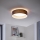 Eglo - LED Deckenleuchte 1xLED/12W/230V