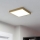 Eglo - LED Deckenleuchte LED/20,5W/230V
