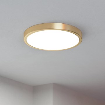 Eglo - LED-Deckenleuchte LED/20,5W/230V Ø 28,5 cm Ø 28,5 cm