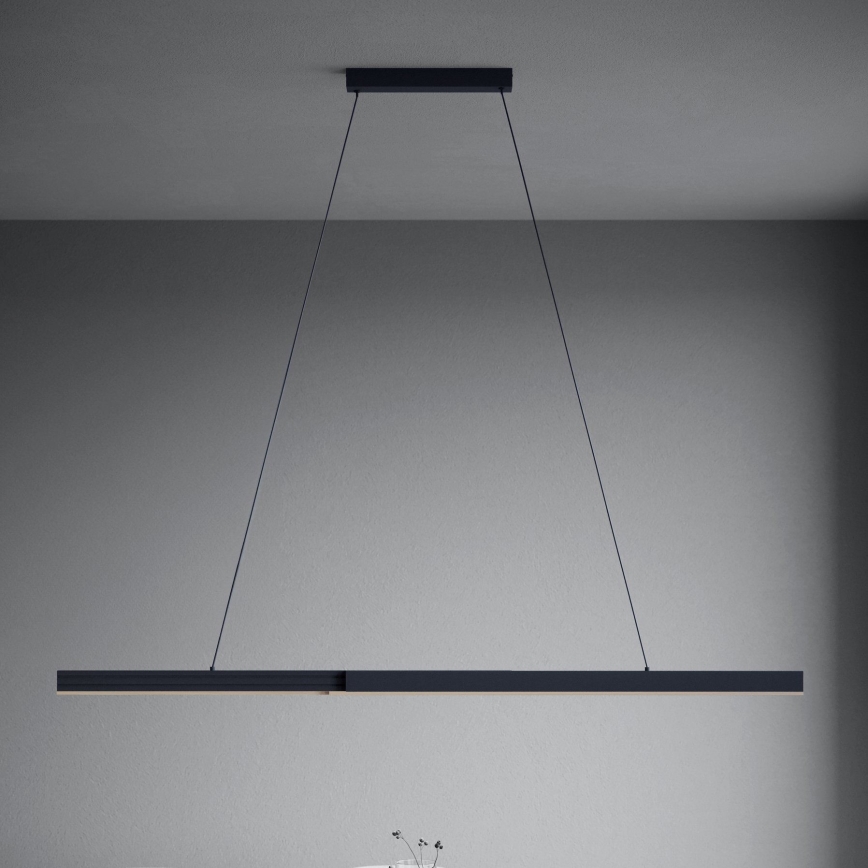 Eglo - LED dimmbare Hängeleuchte an Seil LED/20W/230V 3000K schwarz