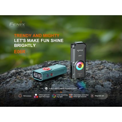 Fenix E06RGRY - Dimmbare, aufladbare LED-Taschenlampe UV LED/USB IP66 700 glänzend 60 h 750 mAh grau