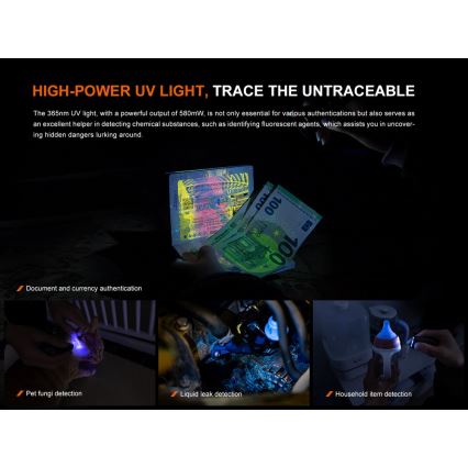 Fenix E06RGRY - Dimmbare, aufladbare LED-Taschenlampe UV LED/USB IP66 700 glänzend 60 h 750 mAh grau