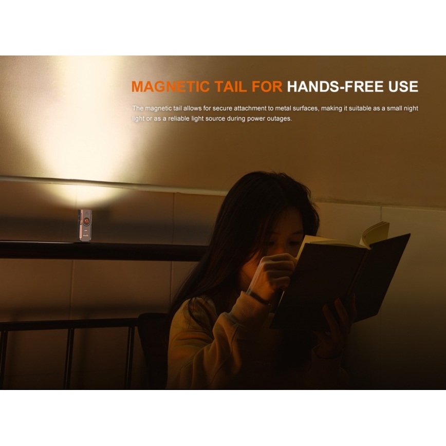 Fenix E06RGRY - Dimmbare, aufladbare LED-Taschenlampe UV LED/USB IP66 700 glänzend 60 h 750 mAh grau