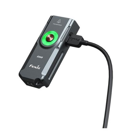 Fenix E06RGRY - Dimmbare, aufladbare LED-Taschenlampe UV LED/USB IP66 700 glänzend 60 h 750 mAh grau