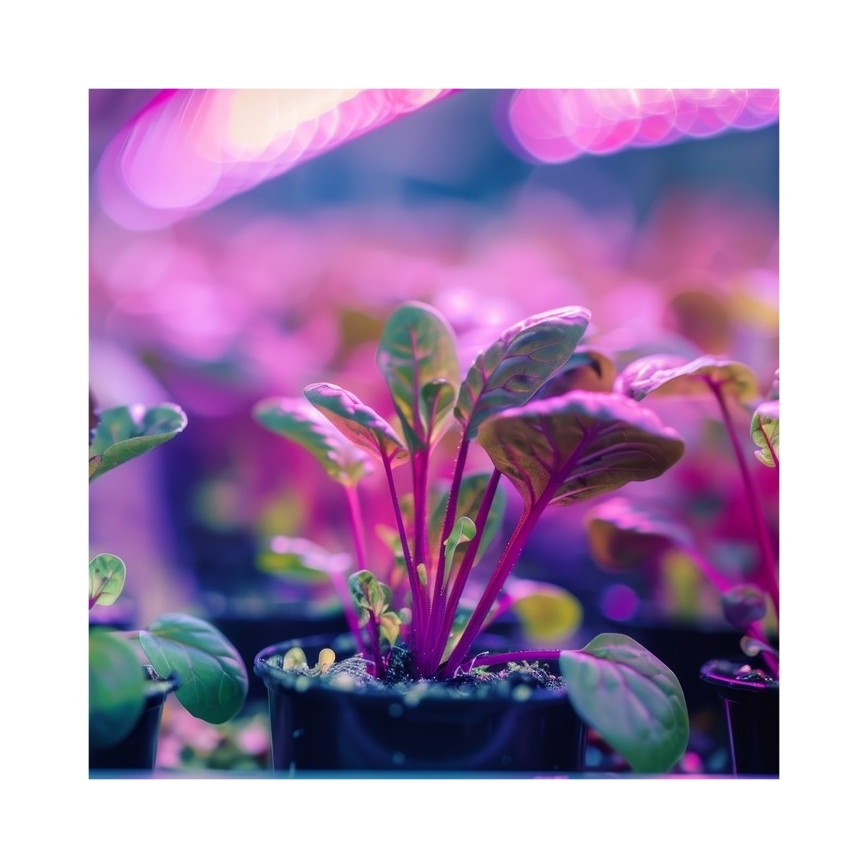 Flexibler Tischlampen-Clip zur Pflanzenzucht PLANTY 1xE27/30W/230V schwarz