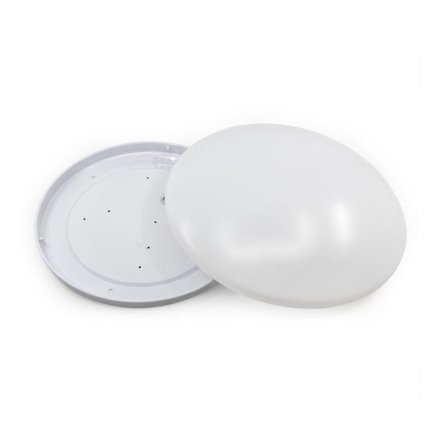Fulgur 23660 - Gestell ANETA-S