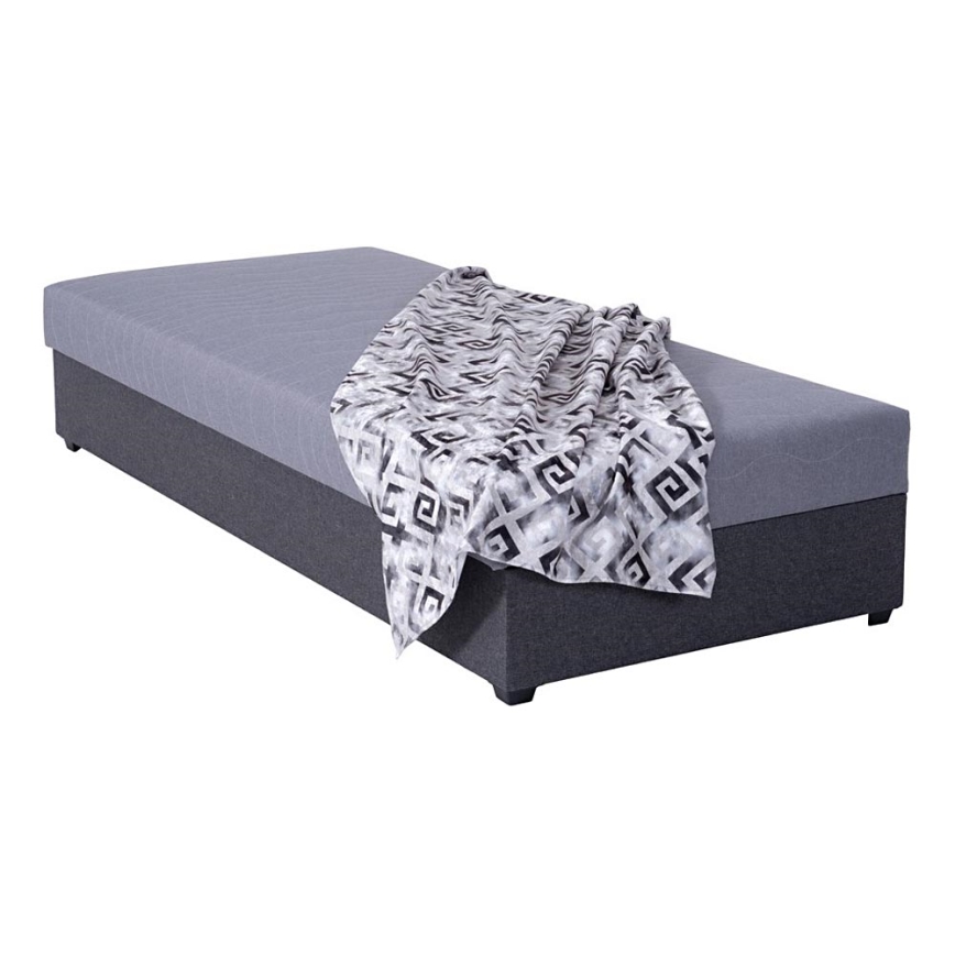 Gepolstertes Tagesbett mit Stauraum JACOB XL, Tragkraft 130 kg, 90x200 cm, grau
