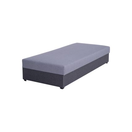 Gepolstertes Tagesbett mit Stauraum JACOB XL, Tragkraft 130 kg, 90x200 cm, grau