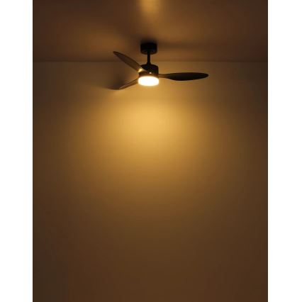 Globo - LED dimmbarer Deckenventilator LED/20W/230V 2700-6500K + Fernbedienung