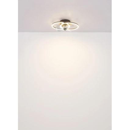 Globo - LED dimmbarer Deckenventilator LED/24W/230V 2700-6500K + Fernbedienung