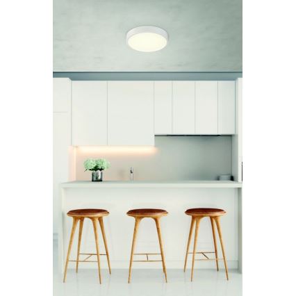 Globo - LED dimmbare Deckenleuchte LED/22W/230V