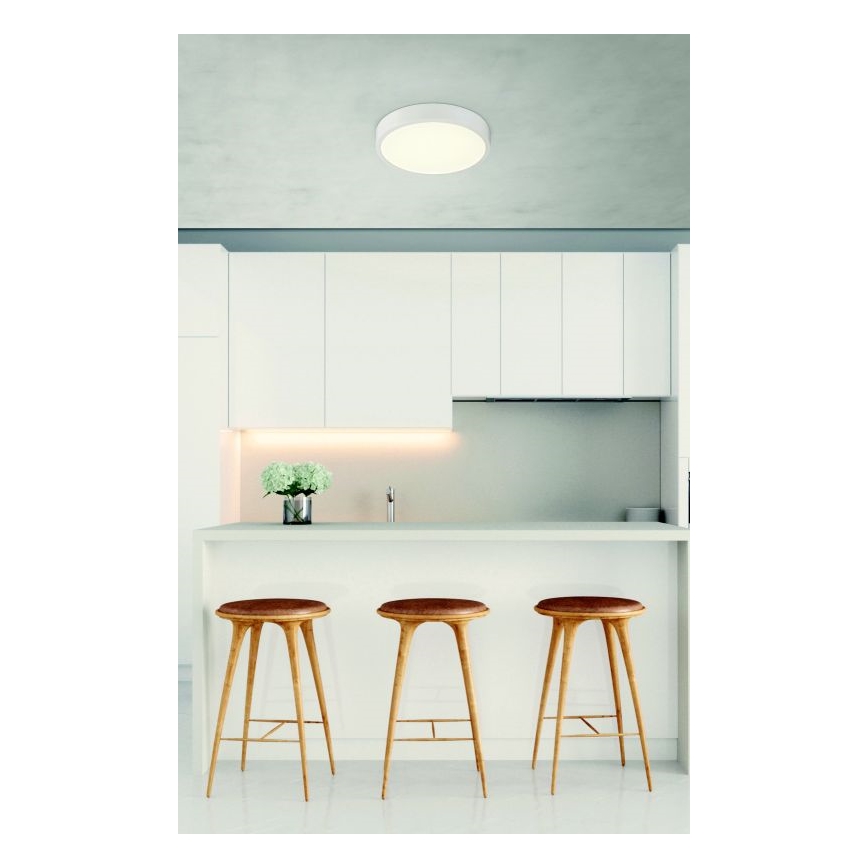 Globo - LED dimmbare Deckenleuchte LED/22W/230V
