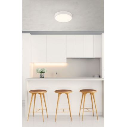 Globo - LED dimmbare Deckenleuchte LED/22W/230V