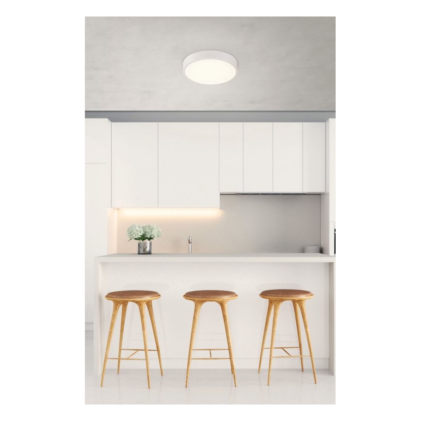 Globo - LED dimmbare Deckenleuchte LED/22W/230V