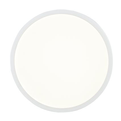 Globo - LED dimmbare Deckenleuchte LED/22W/230V