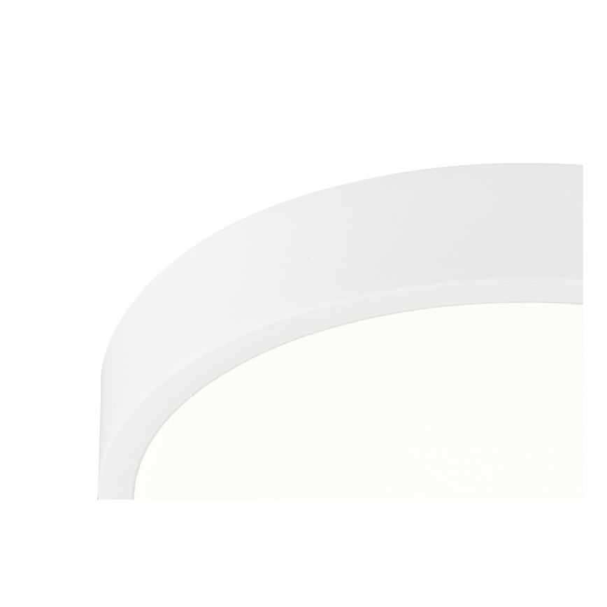 Globo - LED dimmbare Deckenleuchte LED/22W/230V