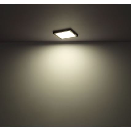 Globo - LED Deckenleuchte LED/12W/230V 3000/4000/6500K Weiß