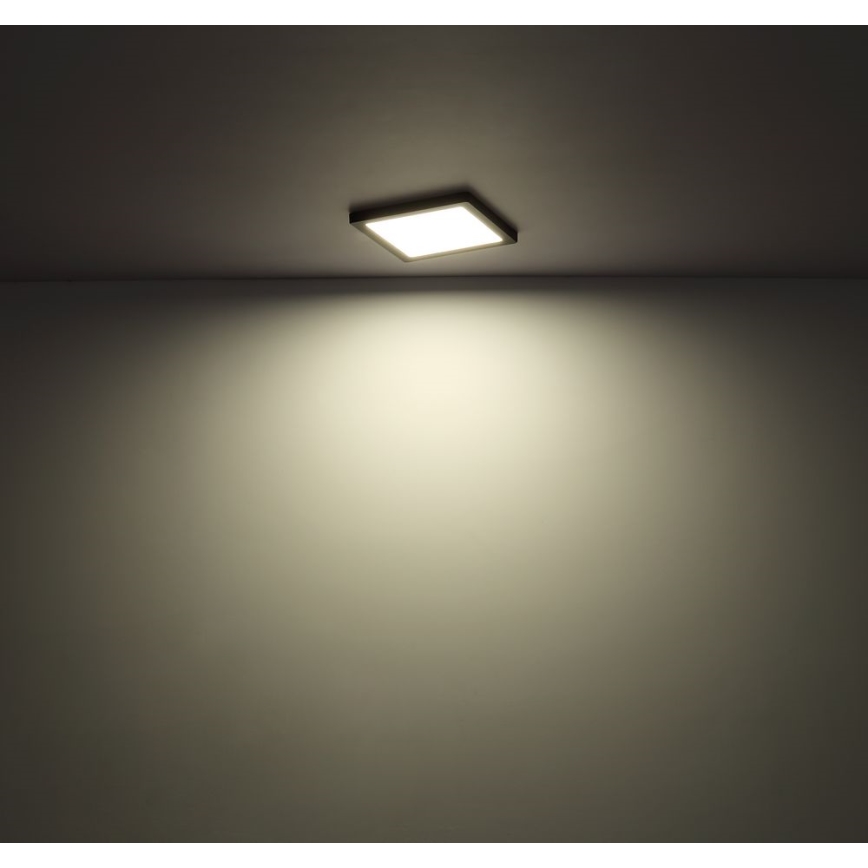 Globo - LED Deckenleuchte LED/12W/230V 3000/4000/6500K Weiß