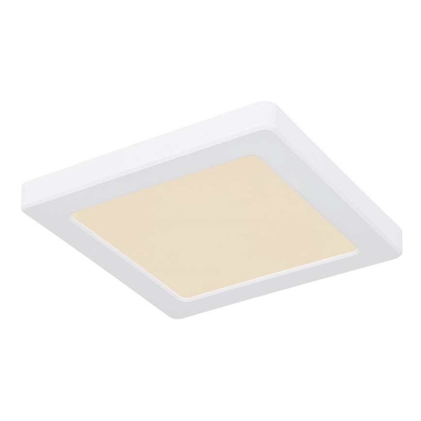 Globo - LED Deckenleuchte LED/12W/230V 3000/4000/6500K Weiß