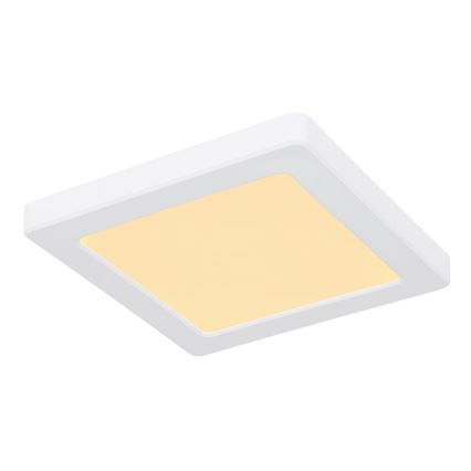 Globo - LED Deckenleuchte LED/12W/230V 3000/4000/6500K Weiß