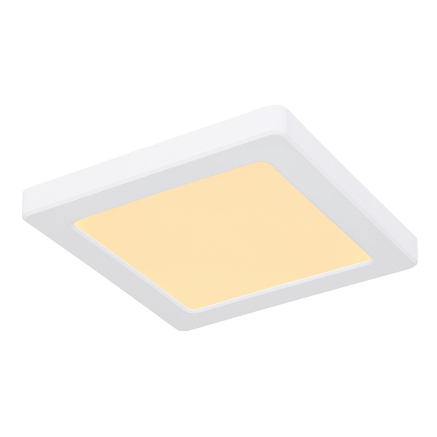 Globo - LED Deckenleuchte LED/12W/230V 3000/4000/6500K Weiß