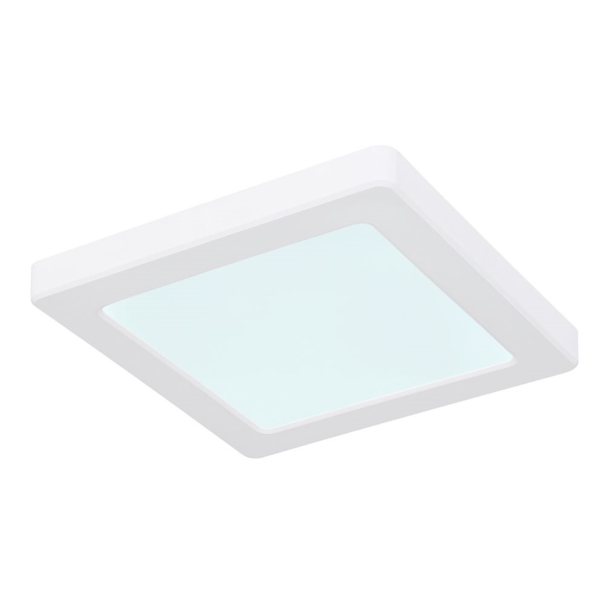 Globo - LED Deckenleuchte LED/12W/230V 3000/4000/6500K Weiß