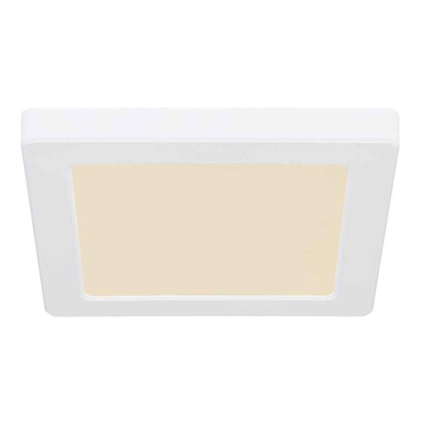 Globo - LED Deckenleuchte LED/12W/230V 3000/4000/6500K Weiß