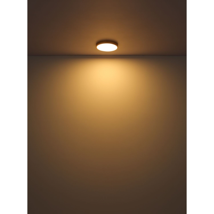 Globo - LED-Deckenleuchte LED/15W/230V d 25 cm