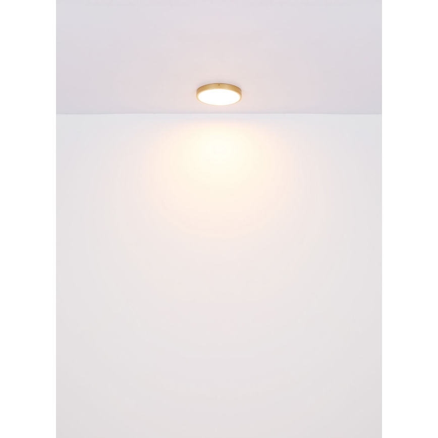 Globo - LED-Deckenleuchte LED/15W/230V d 25 cm