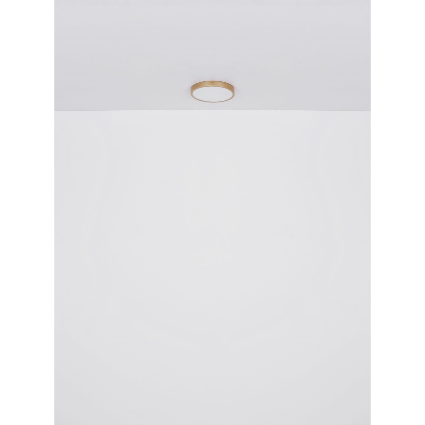 Globo - LED-Deckenleuchte LED/15W/230V d 25 cm