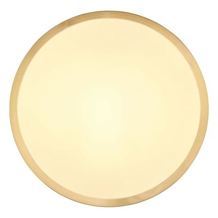Globo - LED-Deckenleuchte LED/15W/230V d 25 cm