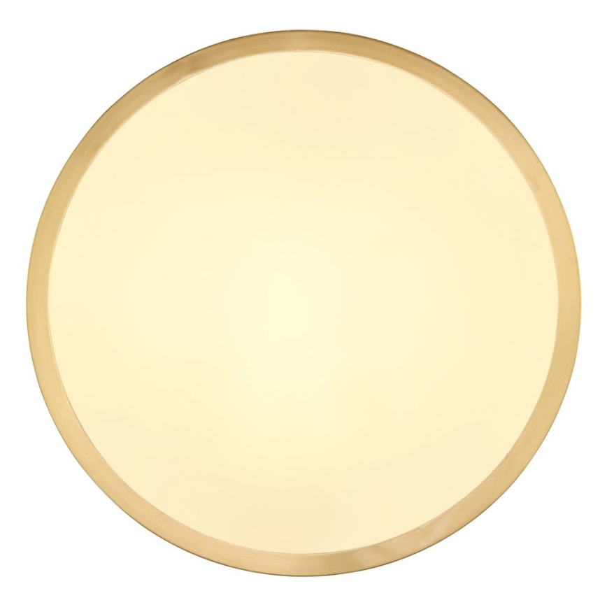 Globo - LED-Deckenleuchte LED/15W/230V d 25 cm