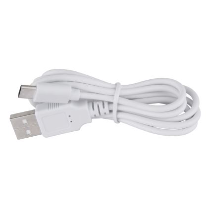 Globo - LED dimmbare Touch-Tischlampe LED/2W/5V 1200 mAh USB klar