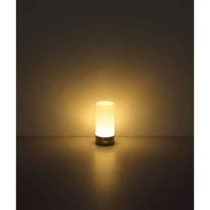 Globo - LED RGBW Dimmbare Touch-Outdoor-Tischleuchte LED/1,8W/5V 1500 mAh IP44 matt Chrom