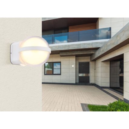 Globo - LED-Outdoor-Wandleuchte LED/12W/230V IP54 weiß