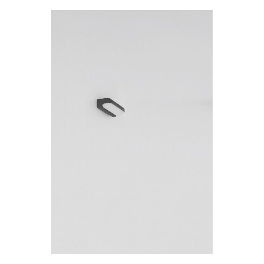 Globo - LED Auβen-Wandbeleuchtung LED/20W/230V IP54
