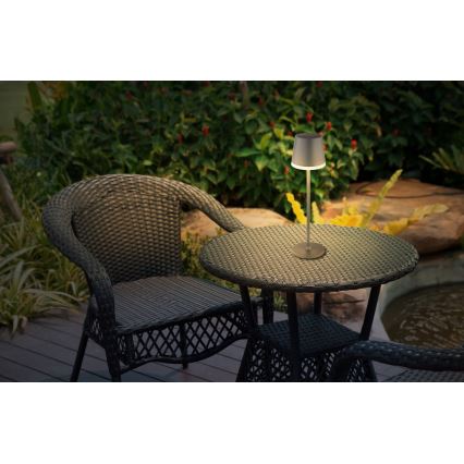 Globo - LED-Solarleuchte LED/0,6W/3V 3000K IP44 1200 mAh anthrazit