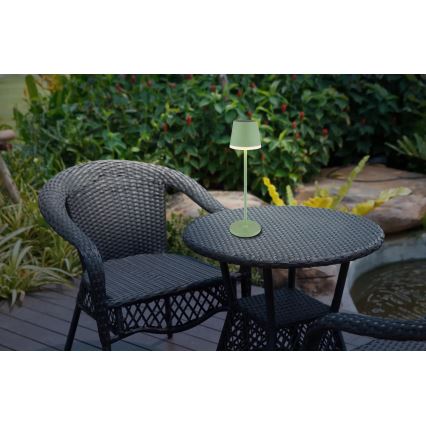 Globo - LED-Solarleuchte LED/0,06W/3V 3000K IP44 1200 mAh grün