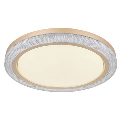 Globo - LED RGBW dimmbare Deckenleuchte LED/20W/230V 2700-6500K + Fernbedienung