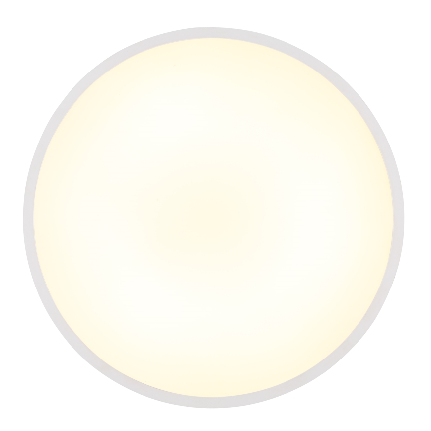 Globo - LED-Deckenleuchte LED/32W/230V 4000K d 40 cm weiß