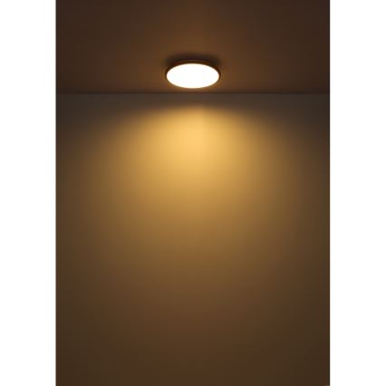 Globo - LED-Deckenleuchte LED/18W/230V 3000K d 35 cm schwarz