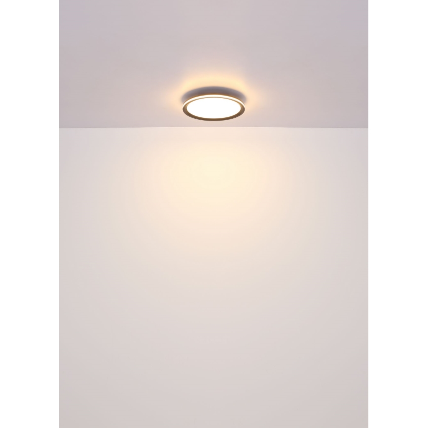 Globo - LED-Deckenleuchte LED/30W/230V d 30 cm