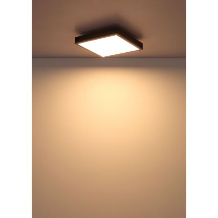 Globo - LED-Deckenleuchte LED/12W/230V 3000K 30x30 cm
