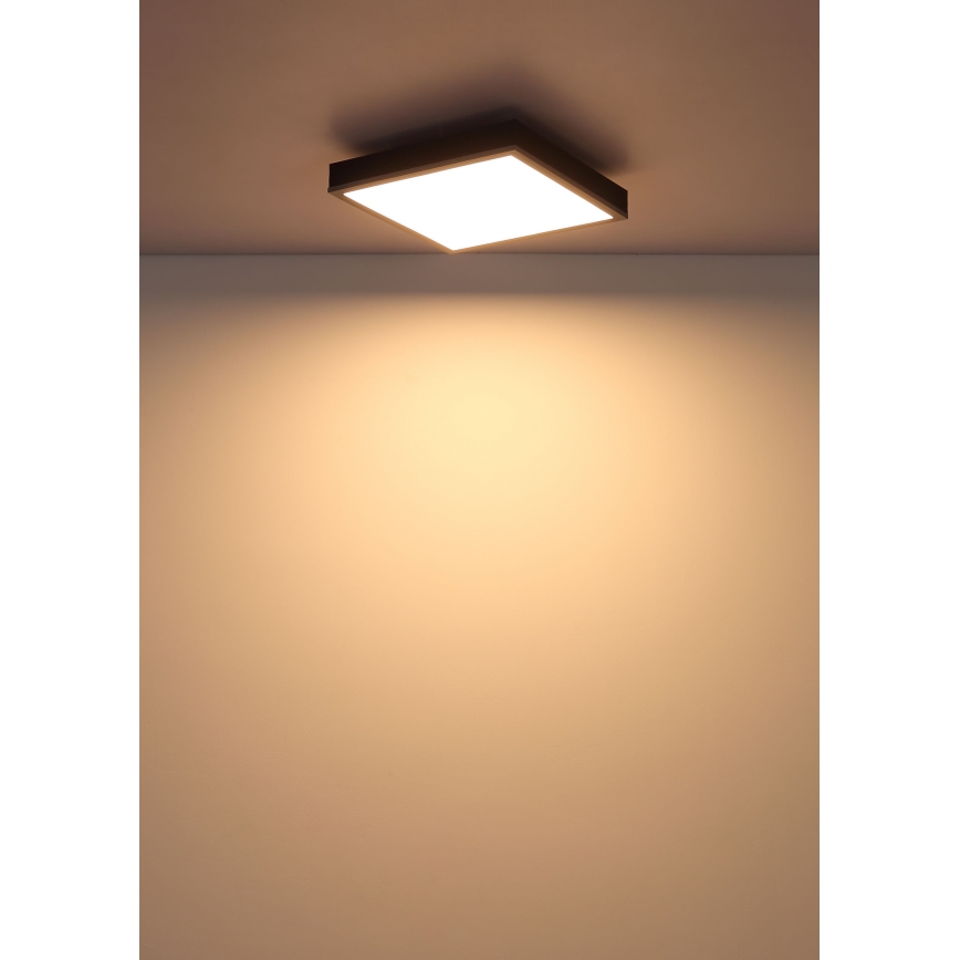 Globo - LED-Deckenleuchte LED/12W/230V 3000K 30x30 cm