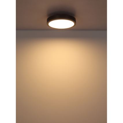Globo - LED-Deckenleuchte LED/12W/230V 3000K d 30 cm