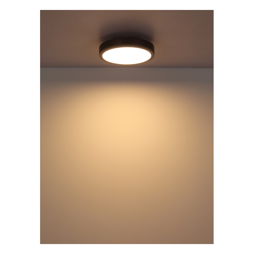 Globo - LED-Deckenleuchte LED/12W/230V 3000K d 30 cm