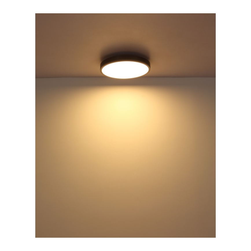 Globo - LED-Deckenleuchte LED/24W/230V 3000K d 45 cm