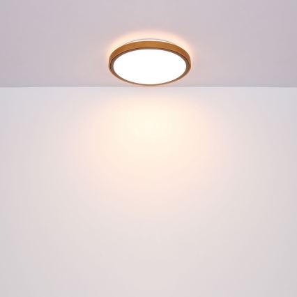 Globo - LED Deckenleuchte LED/12W/230V 307 mm 3000/4500/6000K